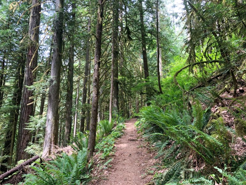 Othello Tunnels Hike, Hope BC - bethalylovebeauty